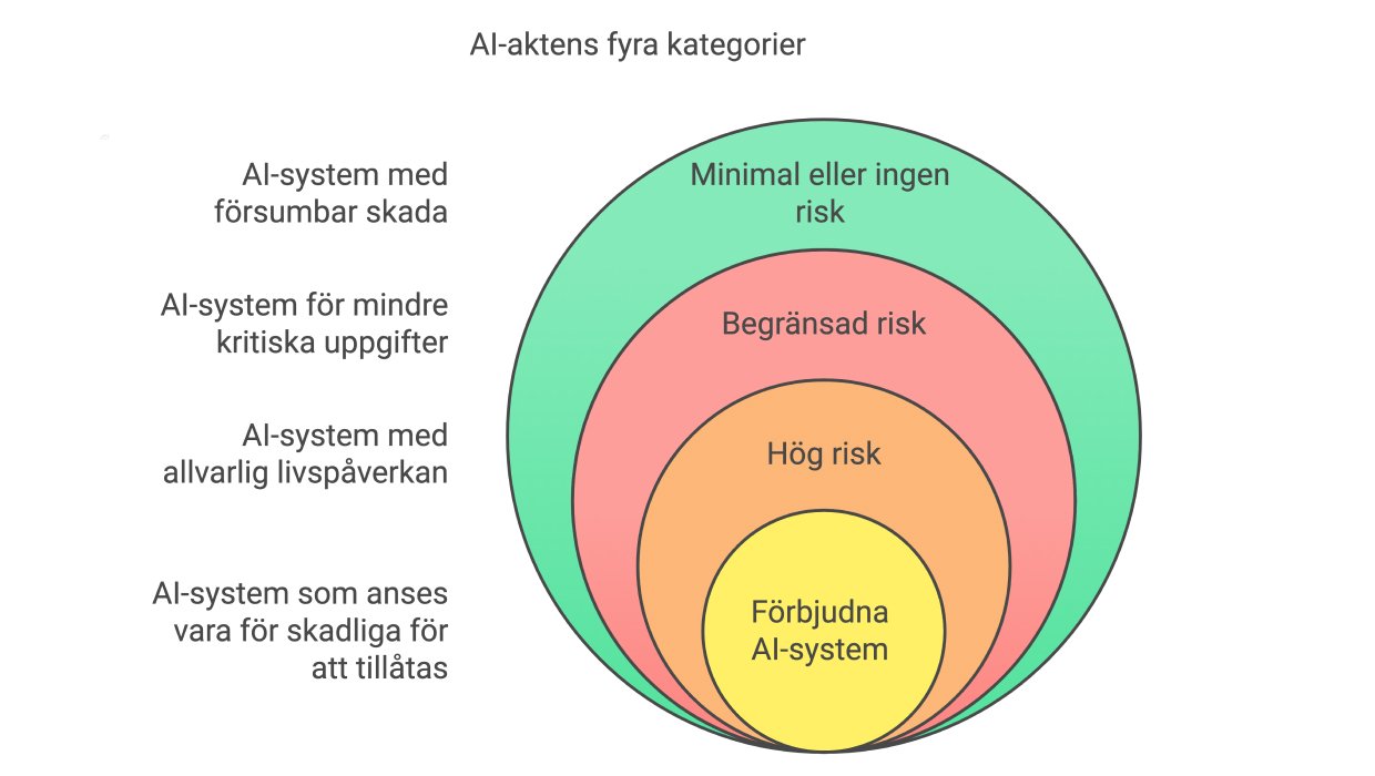 AI-aktens fyra kategorier